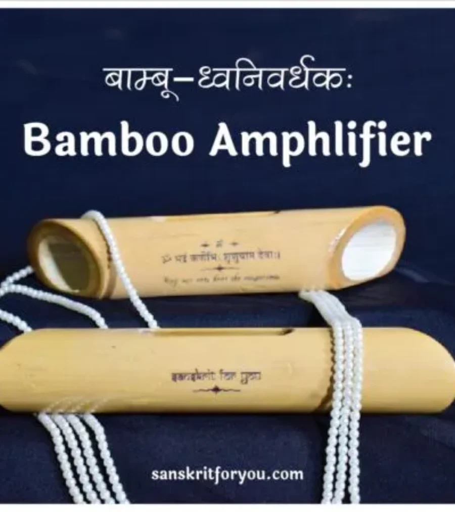 Bamboo Amplifier